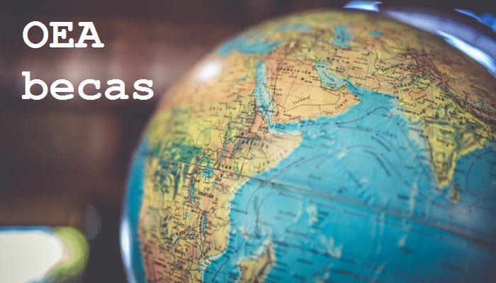 Estudiar en el exterior: viajes y educación becada