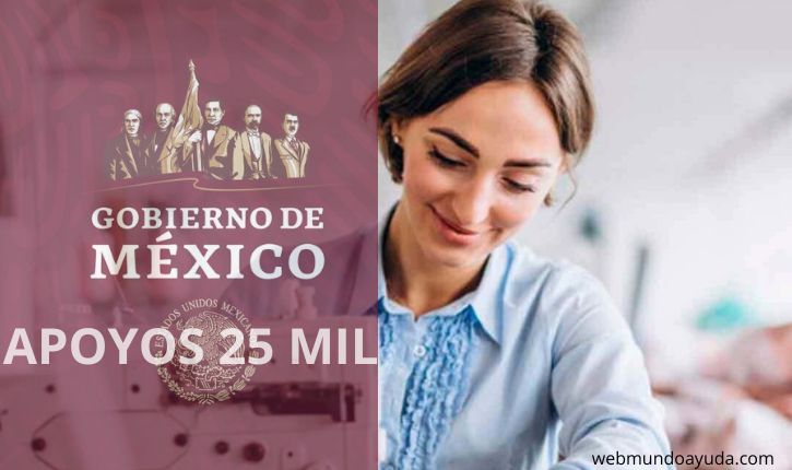 Ayuda de 25 mil pesos para las Pymes de México